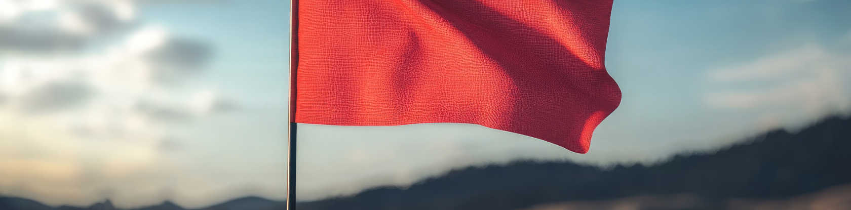 Centric Consulting Assessment Your PMO with Our Health Check-2