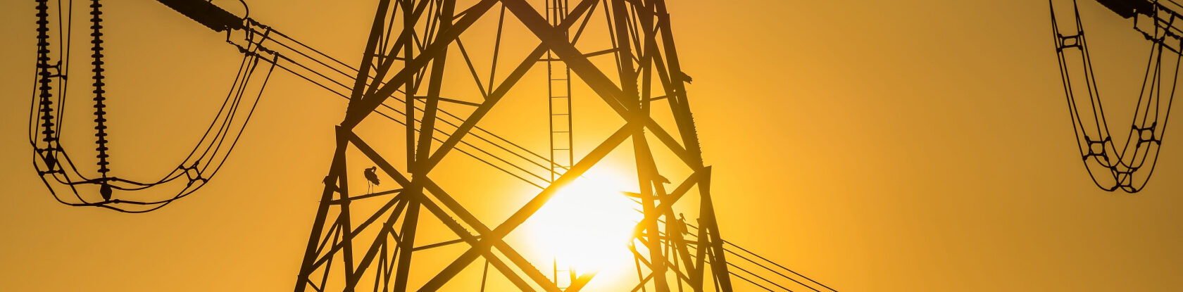 Citizens Clients story