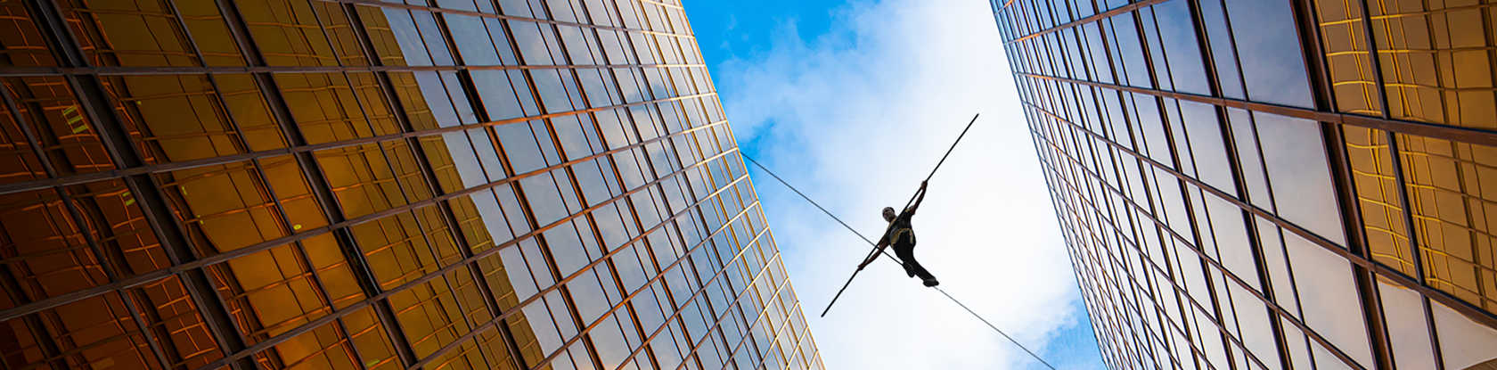 Centric consulting leading for cost optimization