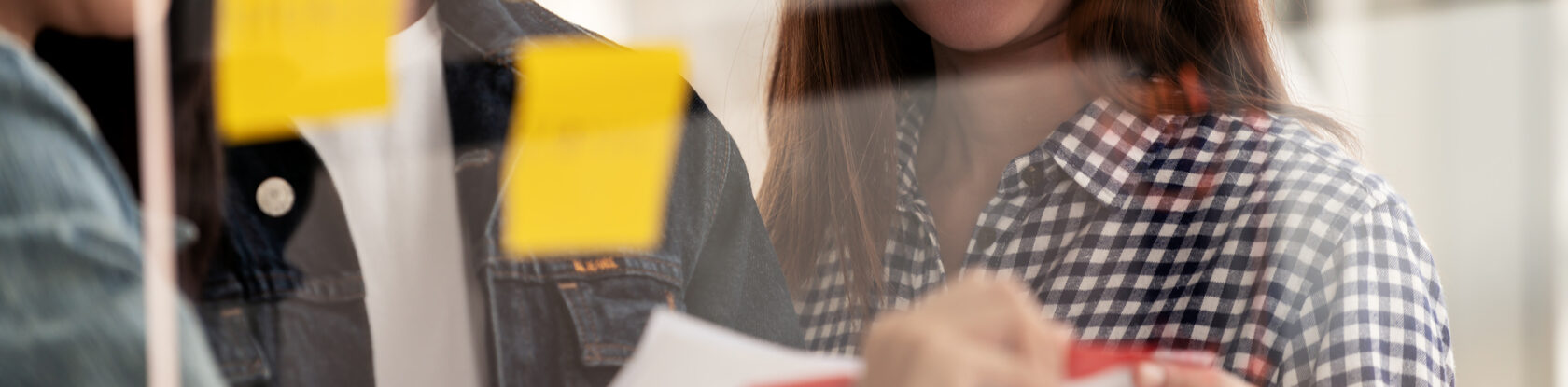 Centric Consulting Process Excellence